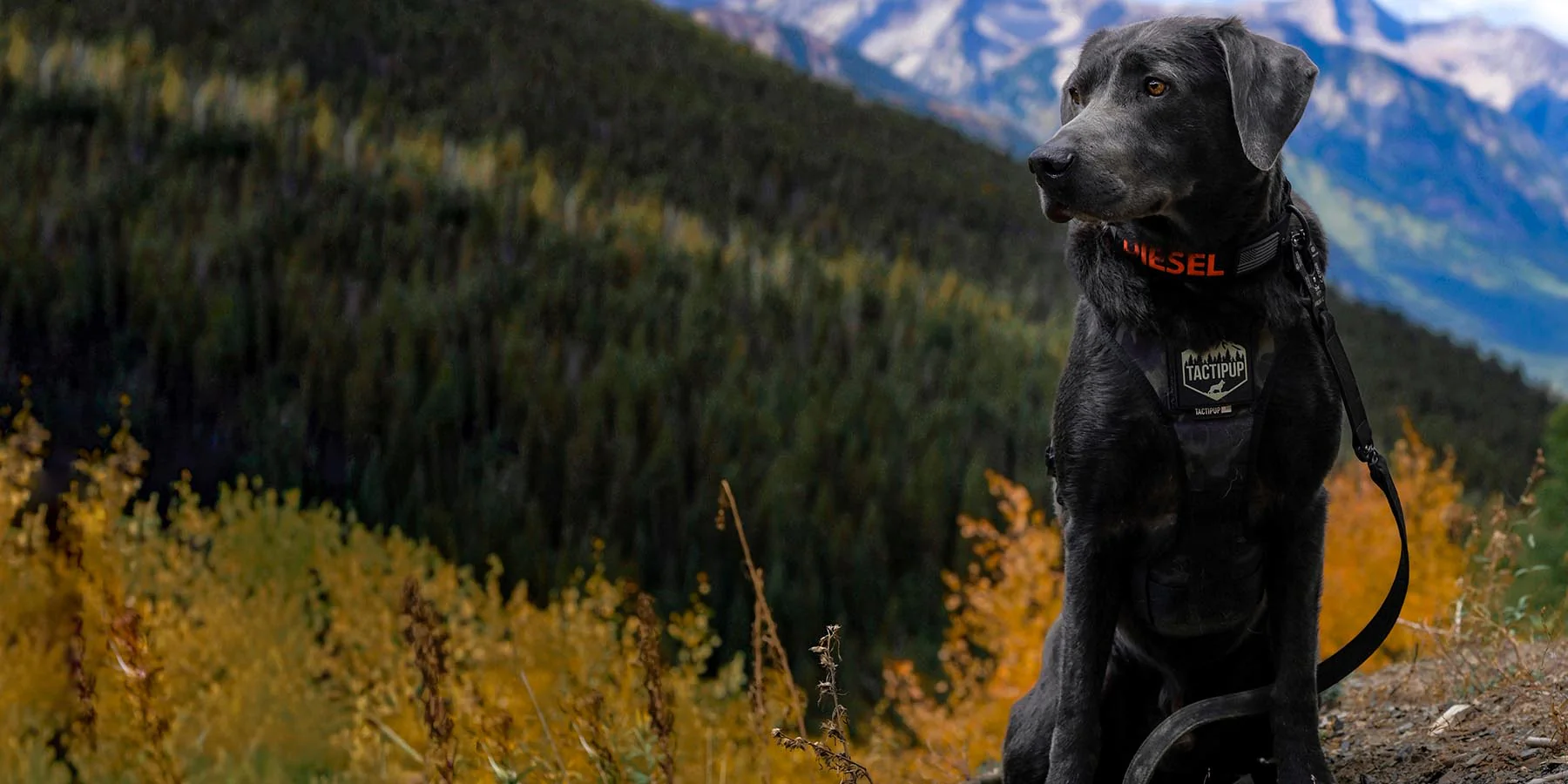 Built for Every Mission